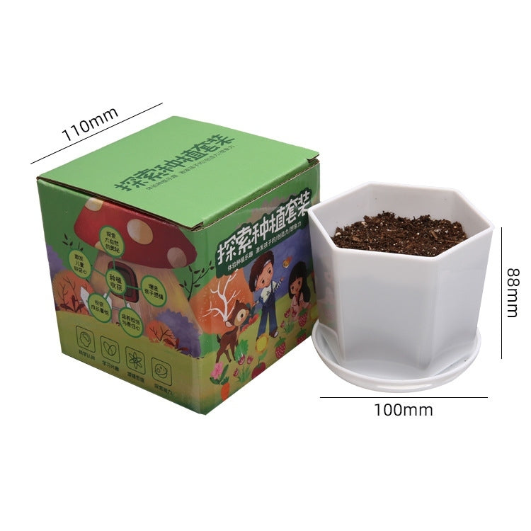 DIY Gardening Set with Pots
