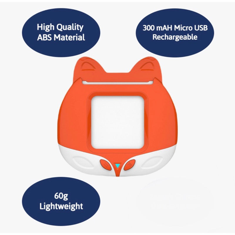 Flash Card Reading Device