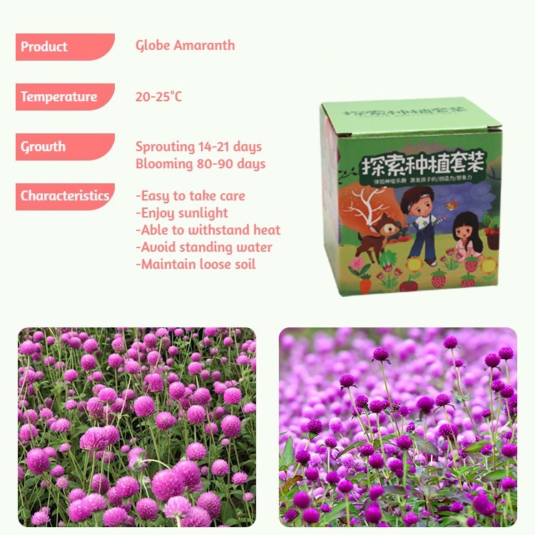 DIY Gardening Set with Pots