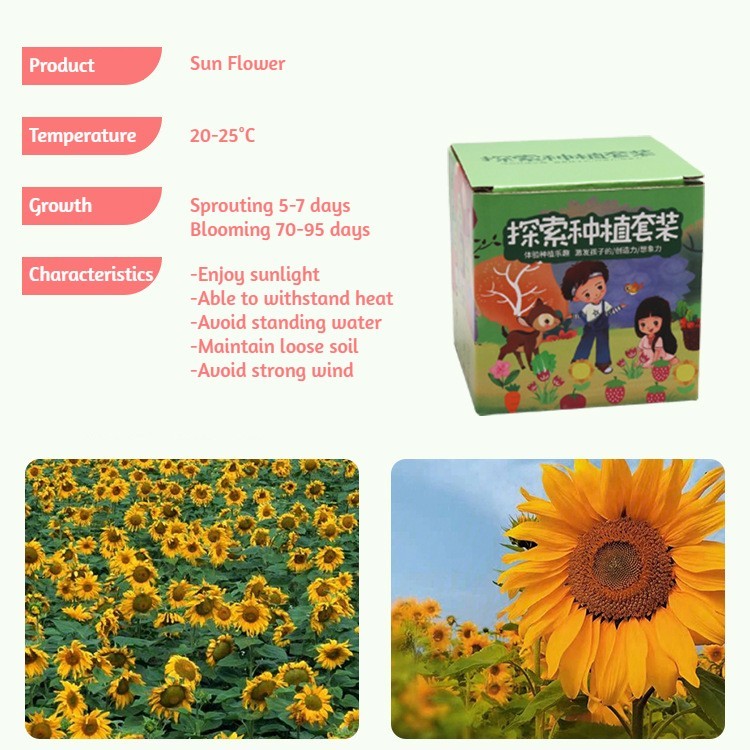 DIY Gardening Set with Pots