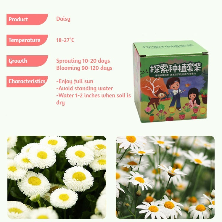 DIY Gardening Set with Pots