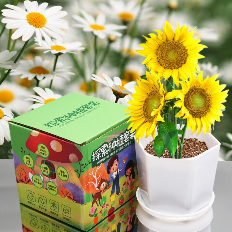 DIY Gardening Set with Pots