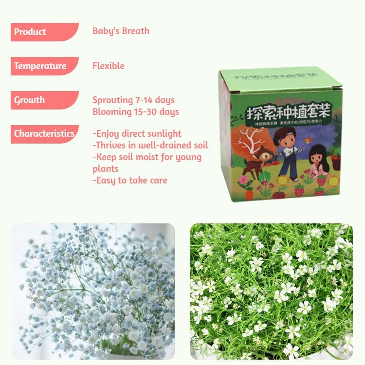 DIY Gardening Set with Pots