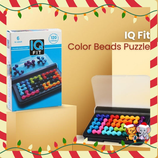 IQ Fit Color Beads Puzzle