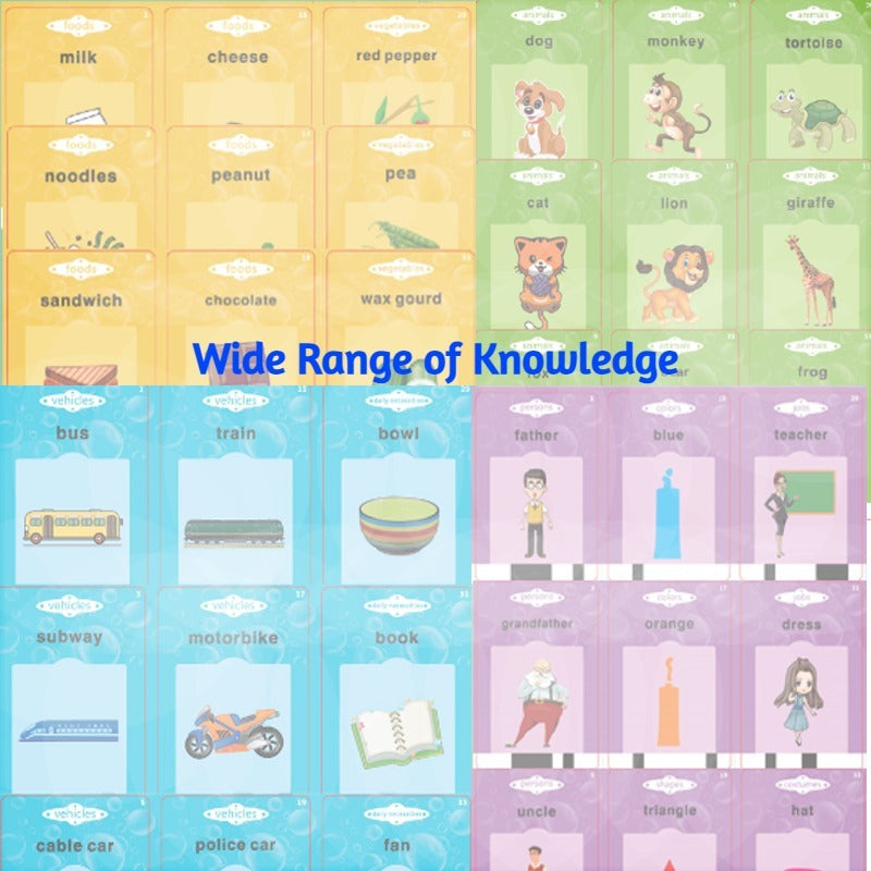 Flash Card Reading Device